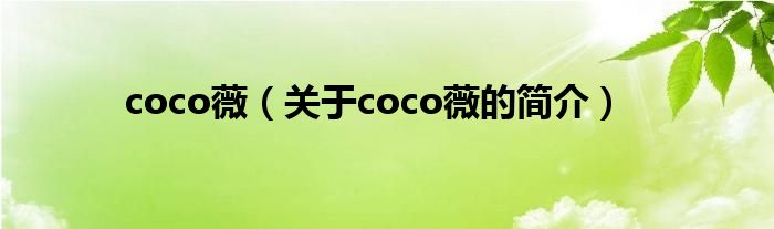 coco薇（關于coco薇的簡介）