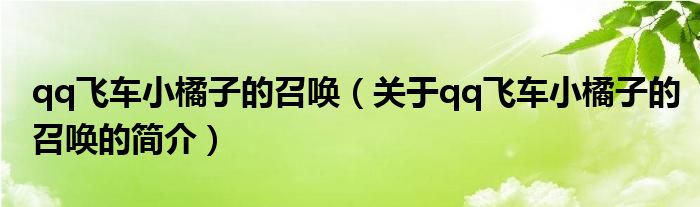 qq飛車小橘子的召喚（關(guān)于qq飛車小橘子的召喚的簡介）