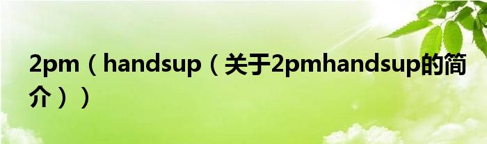 2pm（handsup（關(guān)于2pmhandsup的簡介））