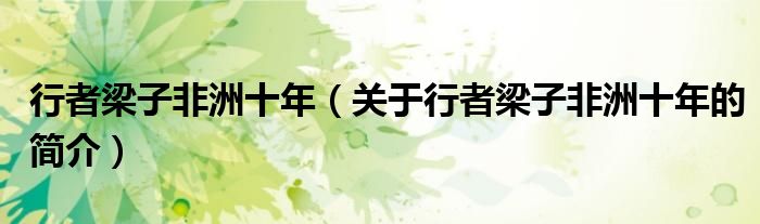 行者梁子非洲十年（關(guān)于行者梁子非洲十年的簡(jiǎn)介）