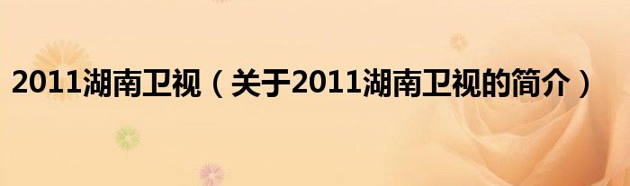 2011湖南衛(wèi)視（關(guān)于2011湖南衛(wèi)視的簡介）