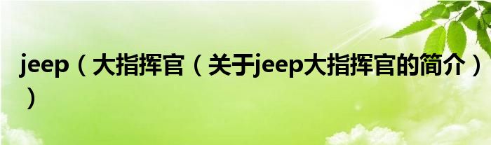 jeep（大指揮官（關(guān)于jeep大指揮官的簡介））