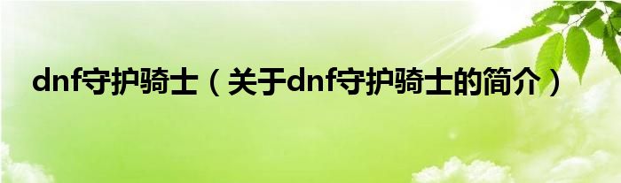 dnf守護(hù)騎士（關(guān)于dnf守護(hù)騎士的簡(jiǎn)介）