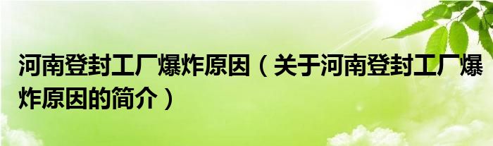 河南登封工廠爆炸原因（關(guān)于河南登封工廠爆炸原因的簡介）