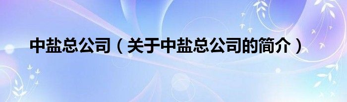 中鹽總公司（關(guān)于中鹽總公司的簡(jiǎn)介）