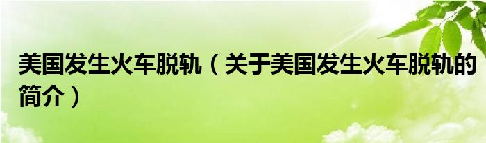 美國(guó)發(fā)生火車脫軌（關(guān)于美國(guó)發(fā)生火車脫軌的簡(jiǎn)介）