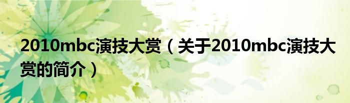 2010mbc演技大賞（關于2010mbc演技大賞的簡介）