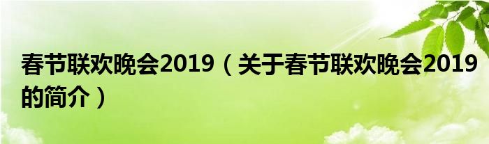 春節(jié)聯(lián)歡晚會(huì)2019（關(guān)于春節(jié)聯(lián)歡晚會(huì)2019的簡介）