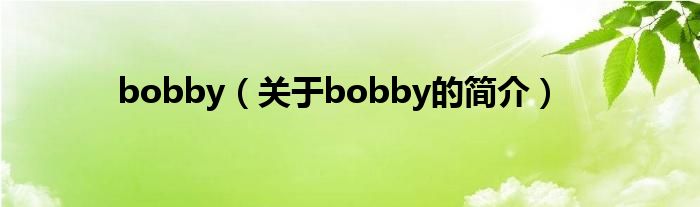 bobby（關于bobby的簡介）