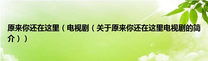 原來你還在這里（電視?。P(guān)于原來你還在這里電視劇的簡介））