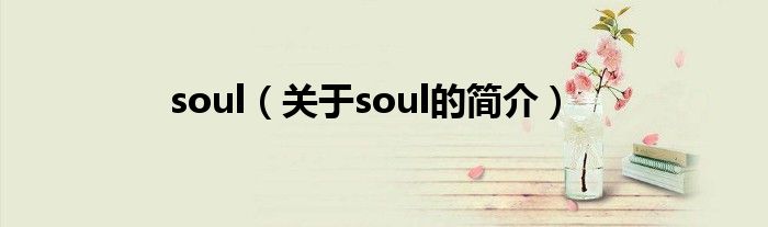 soul（關(guān)于soul的簡介）