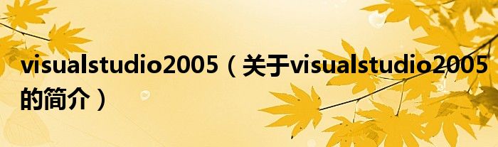 visualstudio2005（關(guān)于visualstudio2005的簡介）