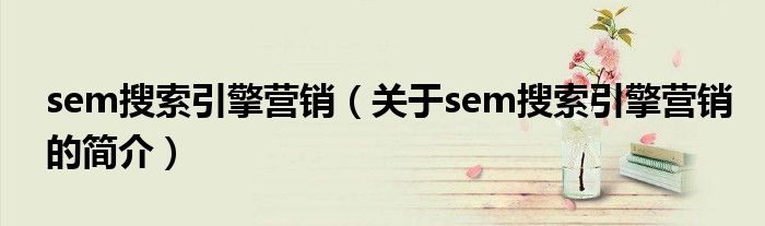 sem搜索引擎營(yíng)銷(xiāo)（關(guān)于sem搜索引擎營(yíng)銷(xiāo)的簡(jiǎn)介）