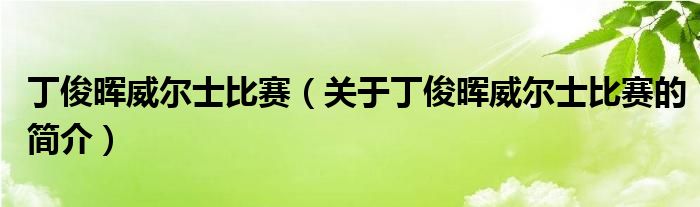 丁俊暉威爾士比賽（關于丁俊暉威爾士比賽的簡介）