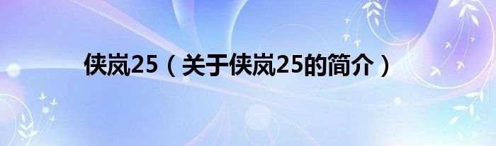 俠嵐25（關于俠嵐25的簡介）