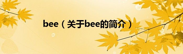 bee（關(guān)于bee的簡介）