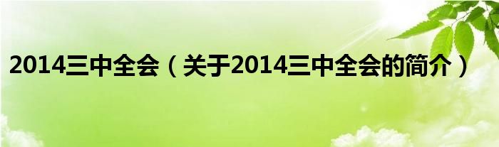 2014三中全會（關于2014三中全會的簡介）