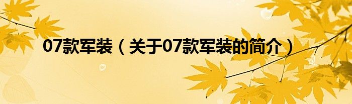 07款軍裝（關(guān)于07款軍裝的簡介）