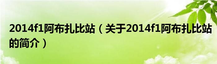 2014f1阿布扎比站（關于2014f1阿布扎比站的簡介）