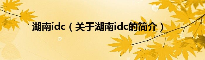 湖南idc（關于湖南idc的簡介）