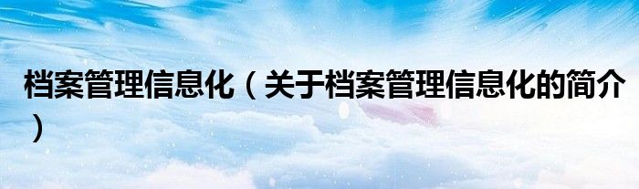 檔案管理信息化（關(guān)于檔案管理信息化的簡(jiǎn)介）