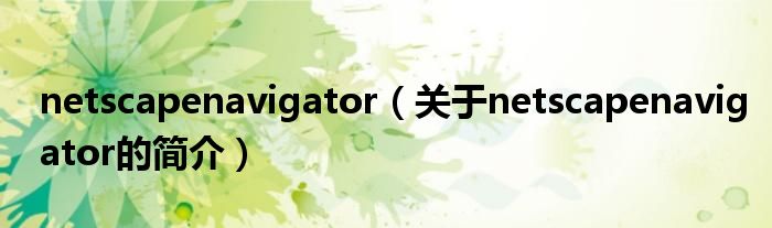 netscapenavigator（關于netscapenavigator的簡介）