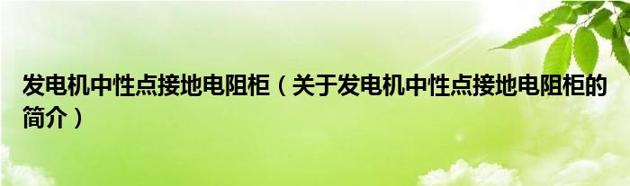 發(fā)電機中性點接地電阻柜（關于發(fā)電機中性點接地電阻柜的簡介）