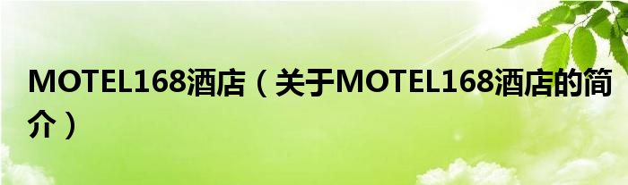 MOTEL168酒店（關(guān)于MOTEL168酒店的簡(jiǎn)介）