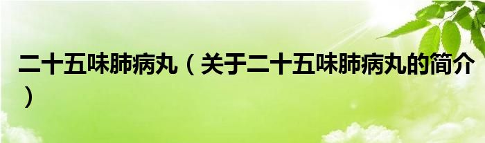 二十五味肺病丸（關(guān)于二十五味肺病丸的簡介）