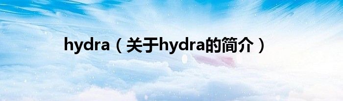 hydra（關(guān)于hydra的簡(jiǎn)介）