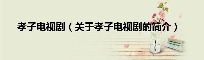 孝子電視?。P(guān)于孝子電視劇的簡(jiǎn)介）