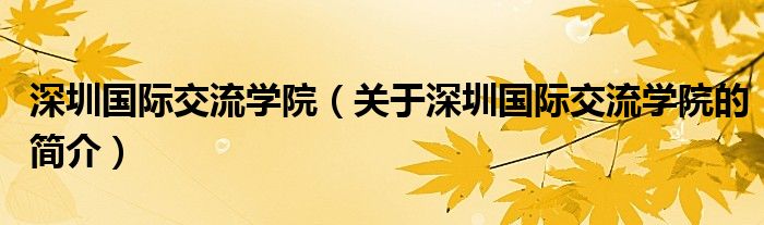 深圳國(guó)際交流學(xué)院（關(guān)于深圳國(guó)際交流學(xué)院的簡(jiǎn)介）