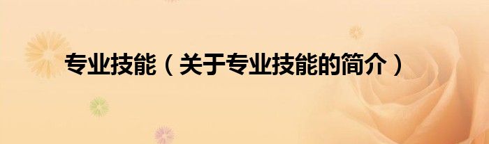 專業(yè)技能（關(guān)于專業(yè)技能的簡(jiǎn)介）