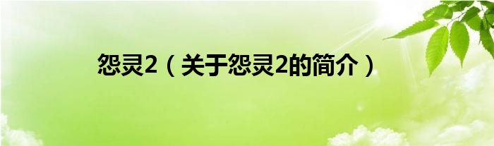 怨靈2（關(guān)于怨靈2的簡介）