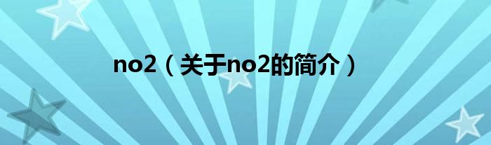 no2（關于no2的簡介）