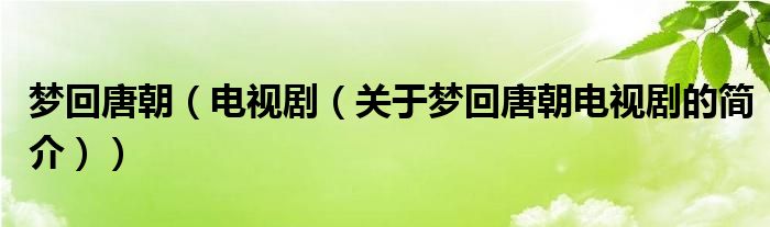 夢回唐朝（電視?。P(guān)于夢回唐朝電視劇的簡介））