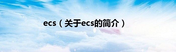 ecs（關(guān)于ecs的簡介）