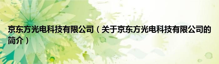 京東方光電科技有限公司（關(guān)于京東方光電科技有限公司的簡(jiǎn)介）