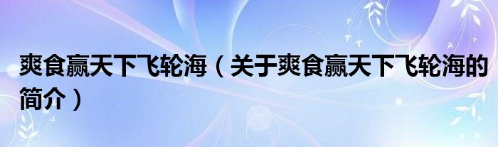 爽食贏天下飛輪海（關(guān)于爽食贏天下飛輪海的簡(jiǎn)介）