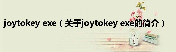 joytokey exe（關(guān)于joytokey exe的簡介）