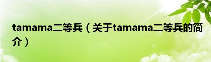 tamama二等兵（關(guān)于tamama二等兵的簡(jiǎn)介）