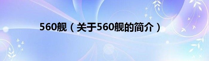 560艦（關(guān)于560艦的簡介）