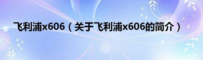 飛利浦x606（關于飛利浦x606的簡介）