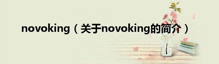 novoking（關(guān)于novoking的簡介）