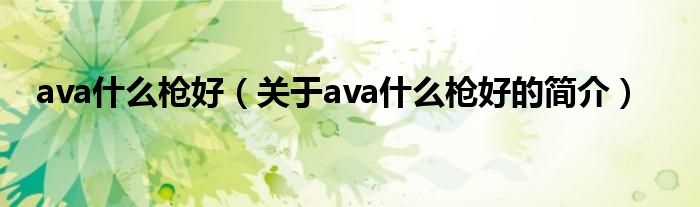 ava什么槍好（關(guān)于ava什么槍好的簡介）