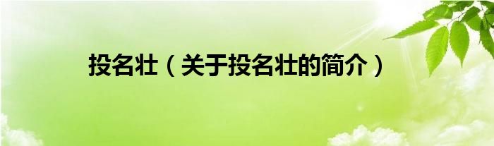 投名壯（關(guān)于投名壯的簡介）