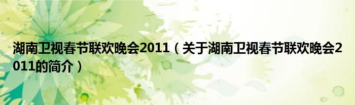 湖南衛(wèi)視春節(jié)聯(lián)歡晚會(huì)2011（關(guān)于湖南衛(wèi)視春節(jié)聯(lián)歡晚會(huì)2011的簡(jiǎn)介）