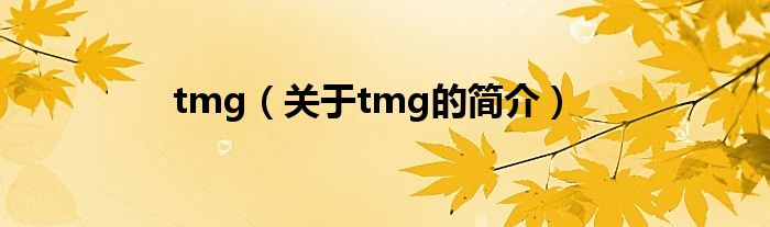 tmg（關于tmg的簡介）