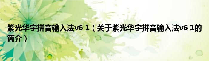 紫光華宇拼音輸入法v6 1（關(guān)于紫光華宇拼音輸入法v6 1的簡介）