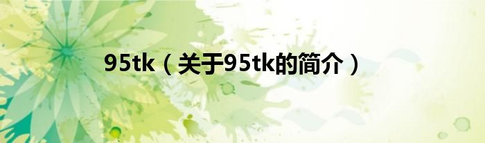 95tk（關(guān)于95tk的簡介）